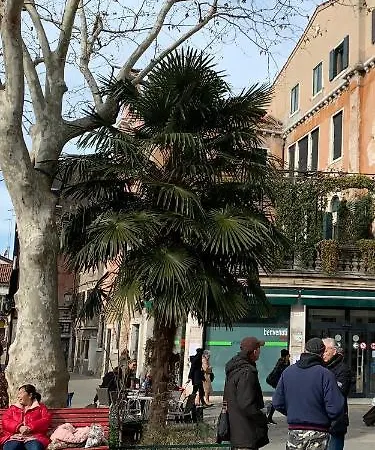 Sunshine Relais Appartamento Venezia